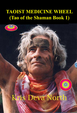 taoist shaman tao shaman shamanism kris deva north taoist medicine wheel