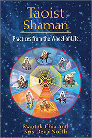 Taoist shaman taoist medicine wheel tao of the shaman practices wheel of life